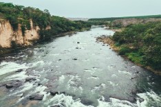 Estudo da Universidade Federal do Rio de Janeiro mostra que o rio Paraopeba dá sinais de recuperação